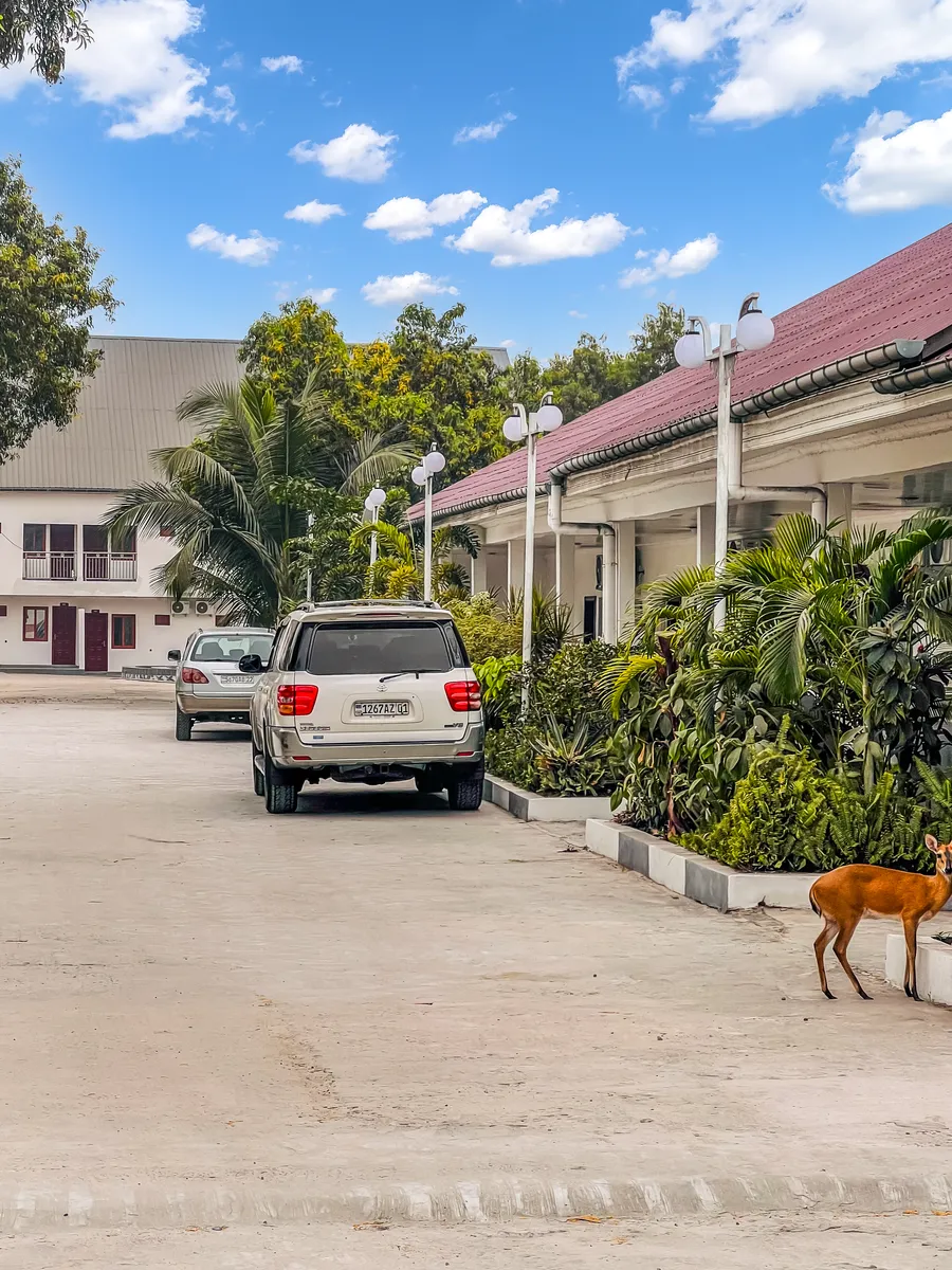 Une antilope dans les jardins · Venus Village
