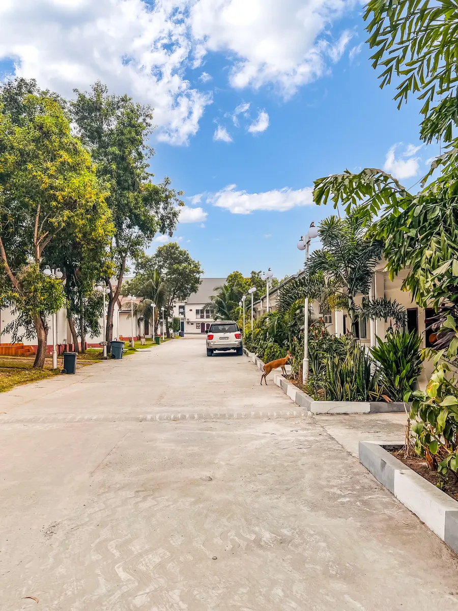 Le domaine · Venus Village