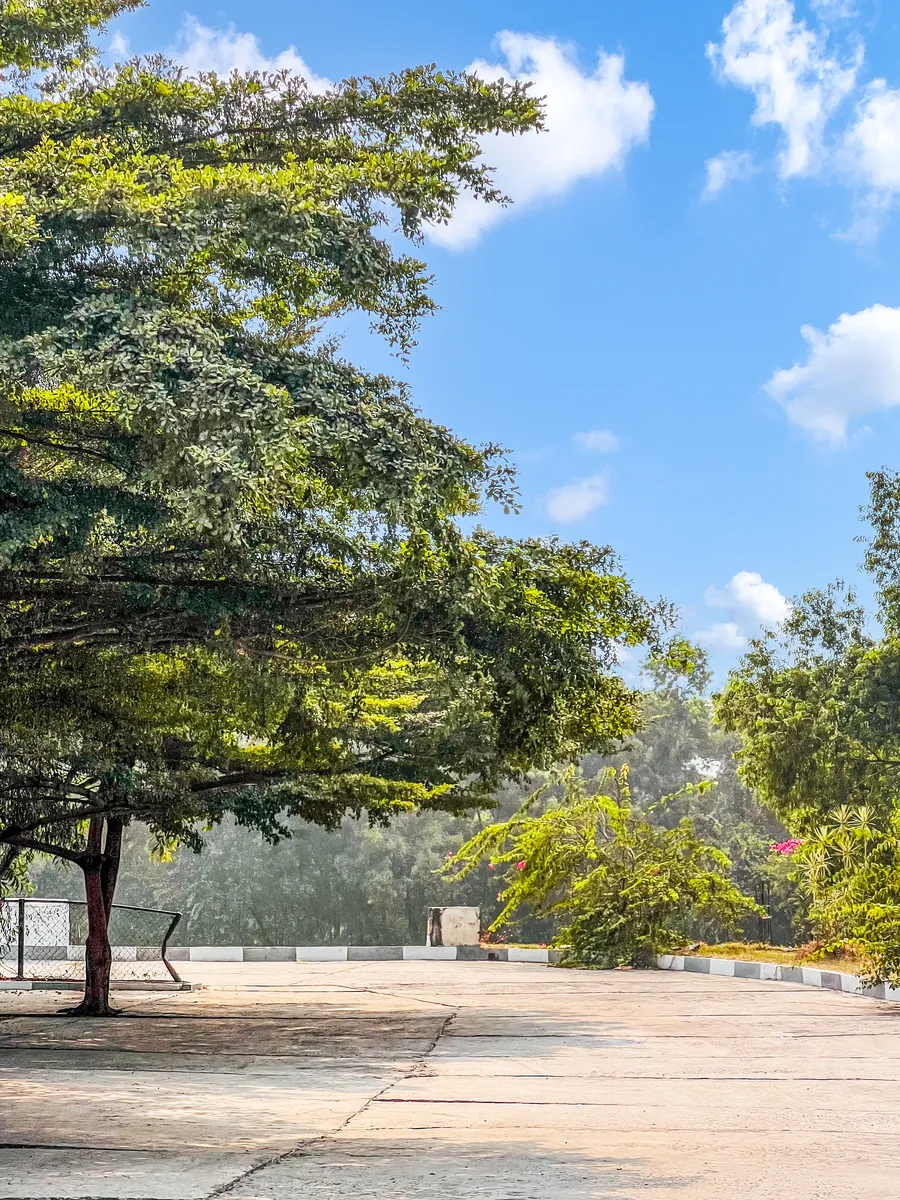 Jardins & allées · Venus Village