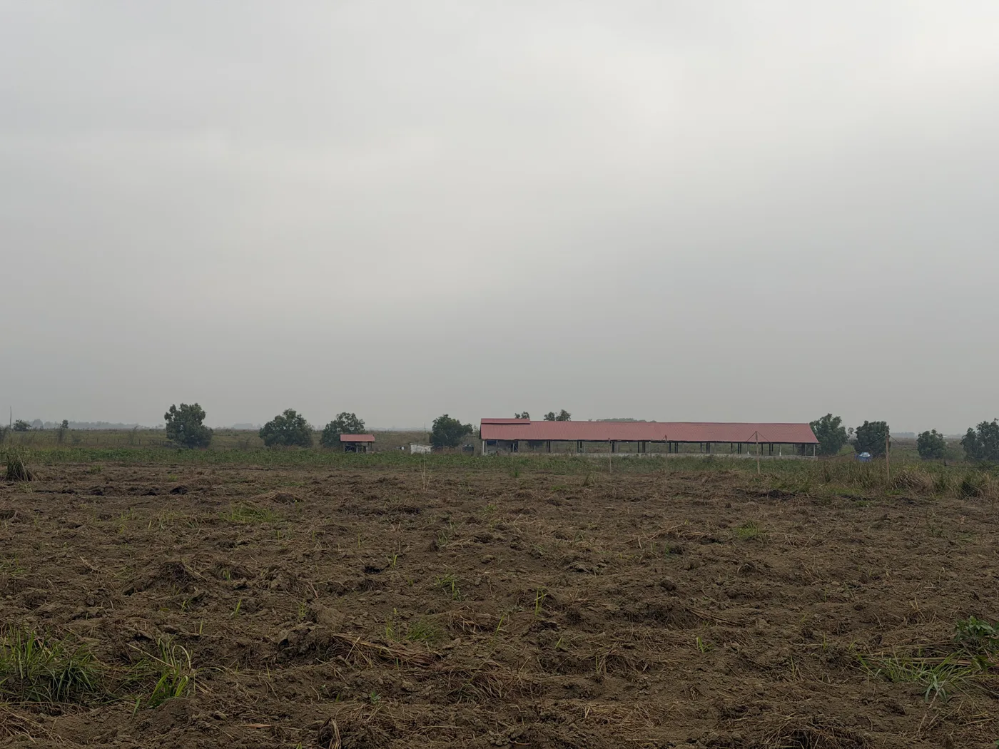 Venus Agricole — les terres